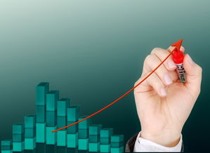 开云官方-体育公益项目影响力持续扩大,体育公益组织