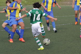 kaiyun登录入口-国家体育场运营中心发布暑期开放时间公告，国家体育场百度百科