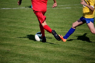 kaiyun登录入口-国家体育场运营中心发布暑期开放时间公告，国家体育场百度百科